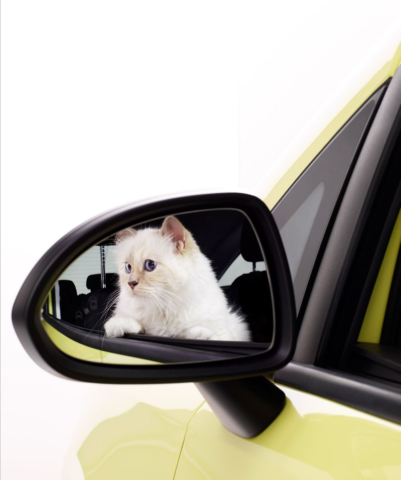 Illustration for article titled Karl Lagerfeld's Cat Is Now (Adorably) Advertising Cars